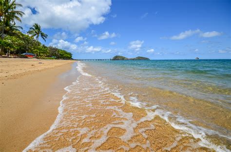 palm cove