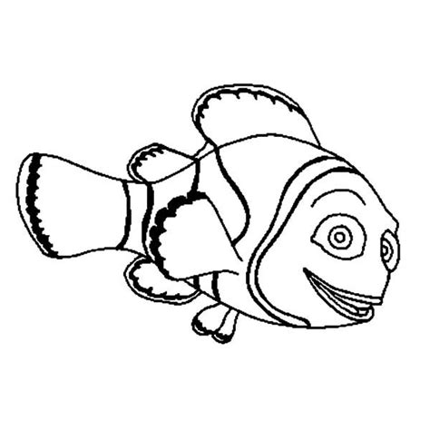 amazing animal clown fish coloring pages  place  color fish