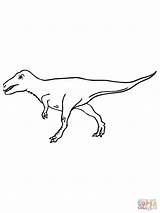 Velociraptor Dinosaur Coloring Cretaceous Pages Period Drawing Color Drawings Dinosaurs Coloringpagesonly Printable Designlooter Getdrawings sketch template