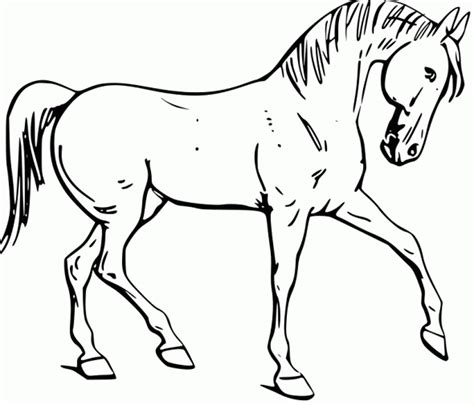 horse coloring page bestappsforkidscom