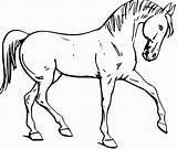 Mustang Horse Coloring Pages Printable Color Horses Getcolorings Print sketch template
