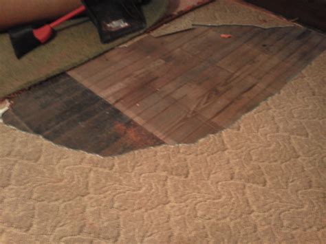 linoleum linoleum flooring wood