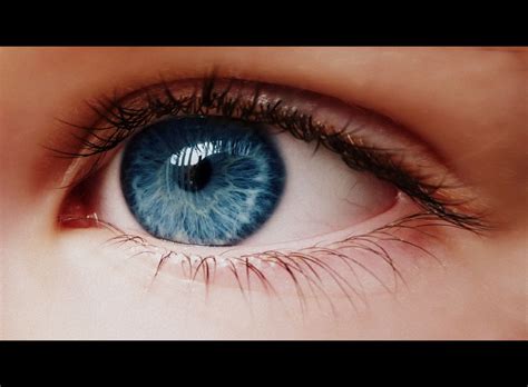 blue eye eyes photo  fanpop