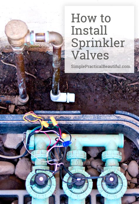 install irrigation valves part    sprinkler system simple practical beautiful