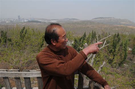 farmer yang 600 000 trees in 13 yrs cn