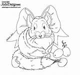 Chinchilla Coloring Jadedragonne Lineart Grapes sketch template