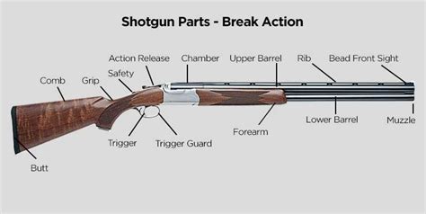 shotgun basics identifying parts  functions tactical gear superstore tacticalgearcom