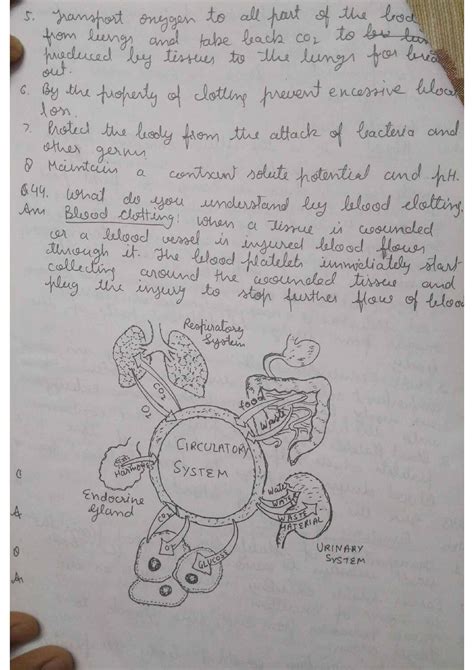 class  biology chapter life process handwritten notes