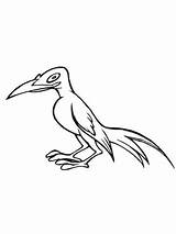 Magpie Bird Coloring Caricature Pages Supercoloring Color Drawing Printable Categories Designlooter sketch template