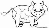 Pages Lembu Kuh Vache Coloriage Ausmalbilder Kostenlos Ausmalbild Mewarna Cows Result Ausdrucken Kanak Bauernhof Bayi Kreatif Malvorlagen sketch template