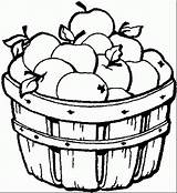 Manzanas Apples Fruit Pincha Duro Izquierdo Botón Bushel sketch template
