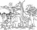 Habitat Forest Coloring Pages Drawing Animal Animals Getdrawings Printable sketch template