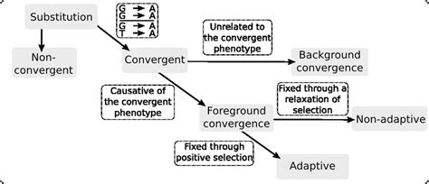 figure  overview   distinction  foreground