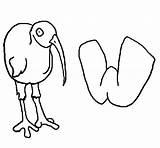 Kiwi Coloring Bird Drawing Pages Getdrawings Kids sketch template