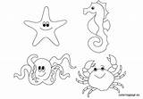 Sea Coloring Animals Pages Creatures Ocean Underwater Animal Life Under Printable Kids Color Deep Scene Sheets Water Floor Print Coloringpage sketch template
