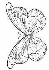 Pages Coloring Fairy Wing Colouring Wings Printable Kids sketch template