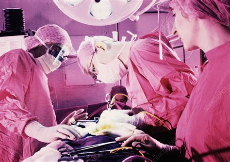 Prostate Surgery Stock Image M550 0662 Science Photo Library