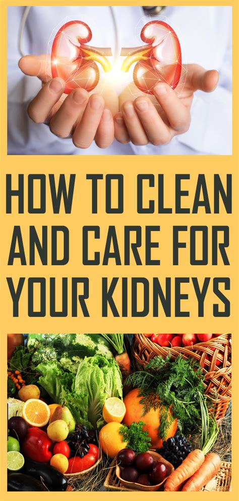 clean  care   kidneys exstremboard