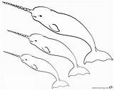 Coloring Narwhal Pages Printable Narwhals Three Cute Kids Print Xcolorings Template sketch template