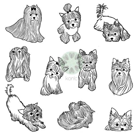 yorkies york yorkie yorkshire terrier terriers illustrations  konic
