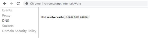 clear  flush google chrome dns cache winhelponline