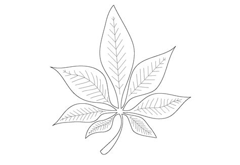leaf coloring pages  preschool leaf coloring page coloring pages