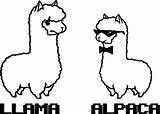 Coloring Alpaca Llama Pages Cute Animal Kawaii Clipart Printable Animals Cartoon Wecoloringpage Colouring Alpacas Drawing Drawings Kids Designlooter Sheets Clipartmag sketch template