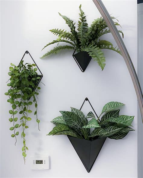 wall planters chrissie
