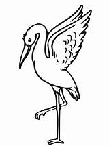 Stork Storch Ausmalbilder Kinderbilder Ausmalbild Bocian Kolorowanka Kolorowanki Vorlage Wydruku Bociany Kategorien sketch template