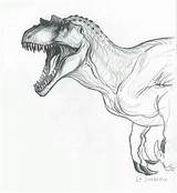 Allosaurus Dinosaur Jurassic Carnivorous Carnivore Dinosaurier sketch template