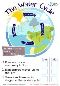 2nd grade science worksheets and free printables