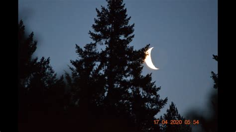 slideshow crescent moon  tree   youtube