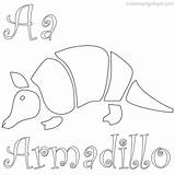 Armadillo Coloring Printable Pages Sheets Getcolorings Kids Choose Board sketch template