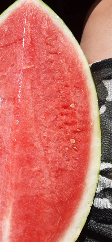 ist diese wassermelone schlecht obst mhd mindesthaltbarkeitsdatum