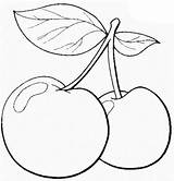 Kirsche Malvorlage Cerejas Cherries sketch template