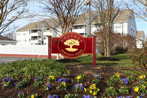 baytree apartment homes dover de apartment finder
