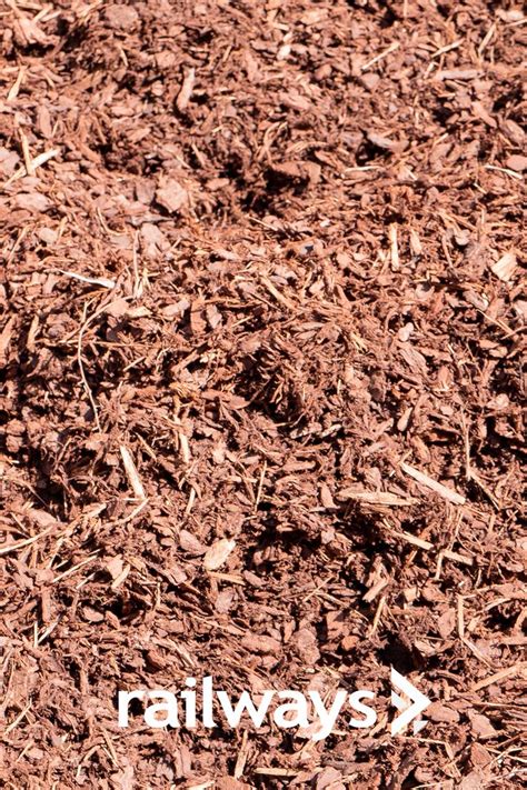 pine bark mm landscaping supplies ground cover landscape materials