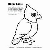 Coloring Eagle Harpy Caracara Getcolorings 403px 59kb sketch template