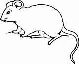 Mouse Rat Coloring Pages Mice Kids Printable Clipart Drawing Souris Print Cute Colouring House Mole Coloriage Petite Template Color Realistic sketch template