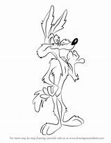 Coyote Looney Tunes Wile Draw Drawing Cartoon Character Step Learn Getdrawings sketch template