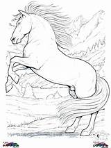Coloring Pages Horses Horse Clydesdale Girls Indian Getcolorings Getdrawings Print Colorings Printable Color sketch template