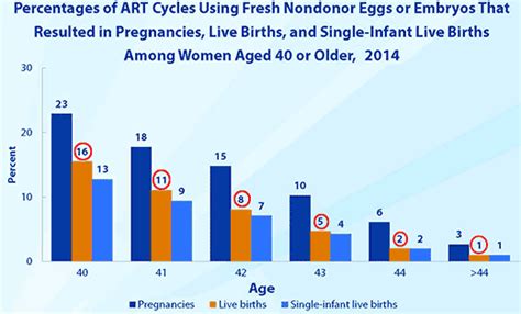 Fertility And Ivf After Age 40 Older Women And Infertility