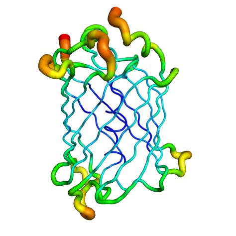 gfp model progress protein portraitsprotein portraits