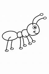Ant Ameisen Ameise Malvorlage Zeichnungen Nael Invitationurn sketch template