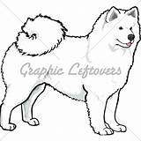 Samoyed Clipart Drawing 52kb 500px Dog Clipground sketch template