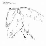 Pony Shetland Coloring Pages Headstudy Color Line Index Own sketch template
