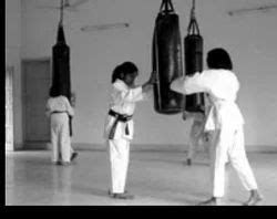wado ryu martial art training seido karate india  delhi id