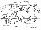 Hill Coloring Horse Designlooter Horses Running Two sketch template
