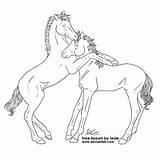 Horse Lineart Foals Deviantart Line sketch template