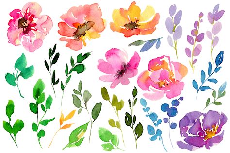 bright watercolor flowers set